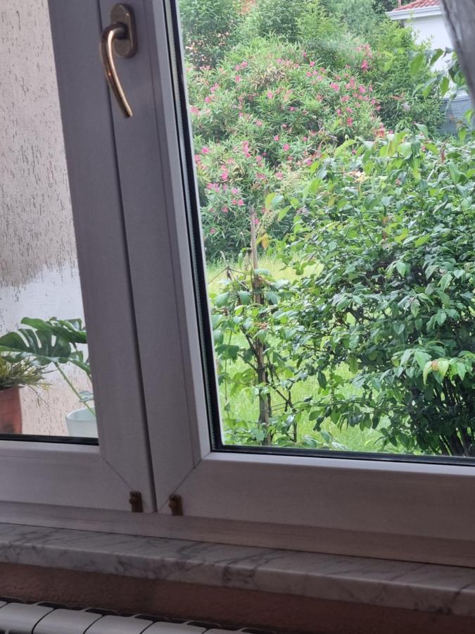 Alloggio Silva Gorizia Ngoại thất bức ảnh